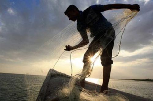 Thị trường xuống đáy 20 tháng, nhà đầu tư tháo chạy, lãnh đạo doanh nghiệp tung tiền gom cổ phiếu