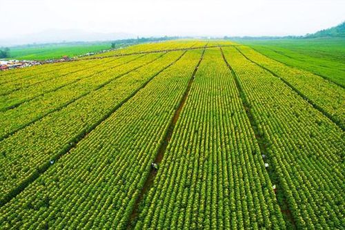 Những doanh nghiệp Việt lần đầu được vinh danh trong Top 10 Thương hiệu xanh 2022