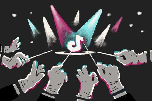 TikTok rơi vào thế khó