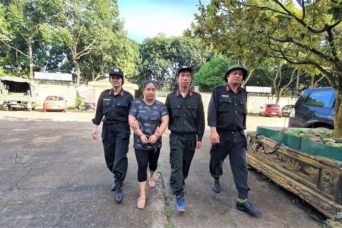 Nữ giám đốc Công ty Đất Vàng Bình Định sa lưới tại Đắk Lắk