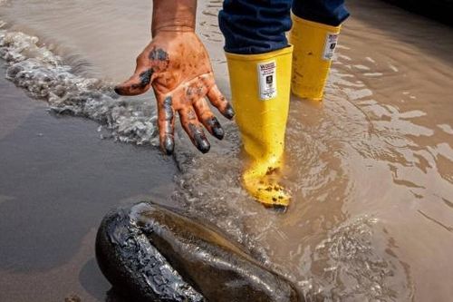 Ecuador: Rò rỉ đường ống dẫn dầu làm ô nhiễm một con sông ở Amazon