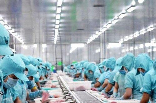 Doanh thu của Vĩnh Hoàn tại Mỹ và Trung Quốc sụt giảm trong T9/2022