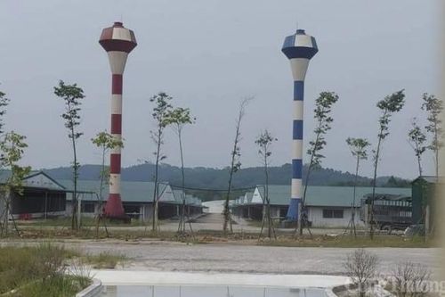 Nghệ An: Phạt trại lợn gây ô nhiễm bị dân phản ánh 320 triệu đồng, đình chỉ 4,5 tháng