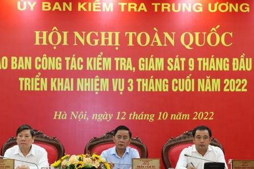 Kiểm tra, kết luận, xử lý dứt điểm vi phạm liên quan đến vụ việc của Công ty Việt Á