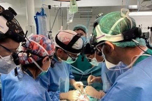 Tây Ban Nha ghép ruột thành công cho bé gái hơn 1 tuổi