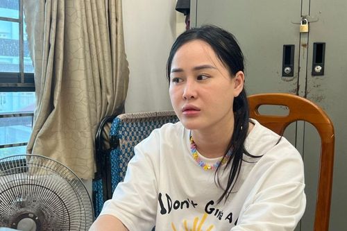 Từ vụ bắt 'Tina Dương' Ninh Thị Vân Anh: 'Lừa đảo' khác 'lạm dụng tín nhiệm chiếm đoạt tài sản' ra sao?