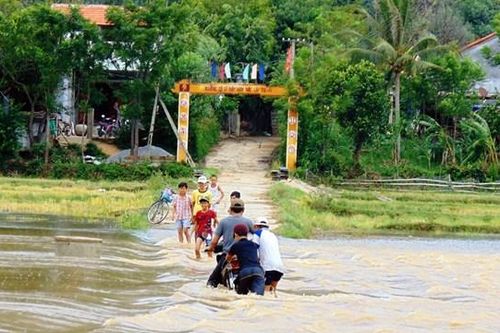 Quảng Nam: Học sinh, sinh viên được nghỉ học ngày 15/10
