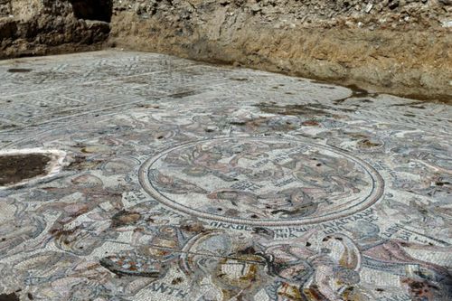 Phát hiện bức tranh khảm khổng lồ thời La Mã ở Syria