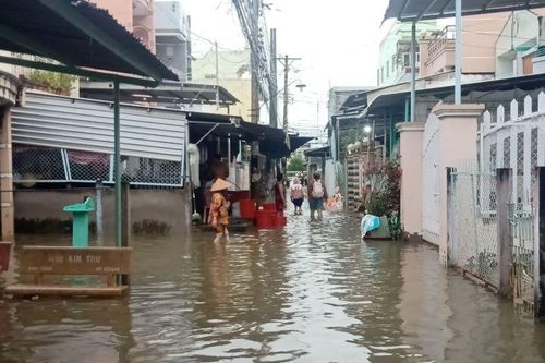 Hàng nghìn hộ dân Bạc Liêu khốn khổ vì mưa ngập và triều cường