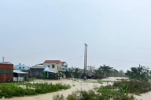 Quảng Ngãi xin hỗ trợ khẩn cấp 545 tỷ đồng để hỗ trợ người dân khắc phục thiệt hại do thiên tai