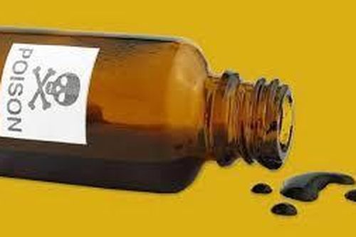 Người phụ nữ 60 tuổi nhỏ thuốc diệt chuột vào thức ăn để đầu độc chồng