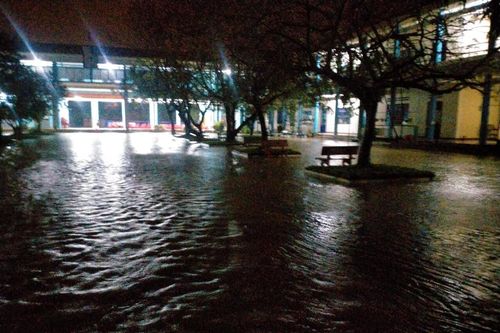 Ngày 15/10 học sinh toàn thành phố Đà Nẵng nghỉ học phòng tránh bão SONCA