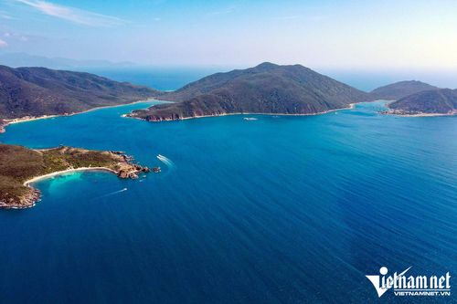 Đề xuất lập bãi cho rùa biển đẻ trong vịnh Nha Trang