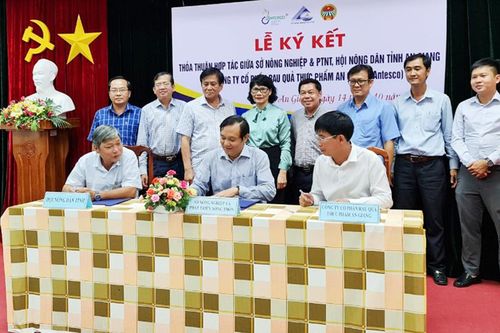 Phát triển ít nhất 10 hợp tác xã liên kết với Antesco