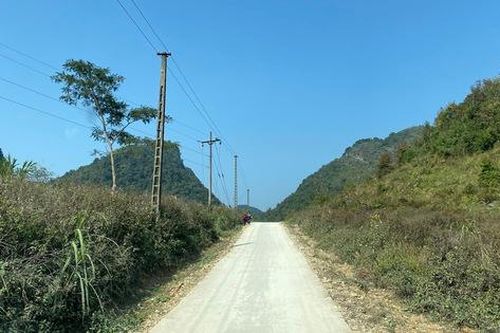 Tiếng thét lúc nửa đêm giữa đại ngàn (P1): Cái chết bí ẩn của người buôn bò xấu số