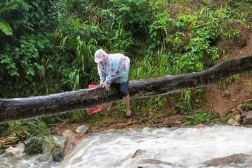 Cô giáo ôm thân cây vượt dòng suối lũ để đến lớp