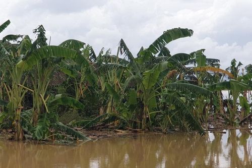 Một bé trai ở Quảng Nam bị đuối nước tử vong