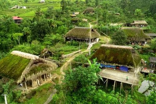 Những ngôi nhà phủ rêu xanh ở Xà Phìn
