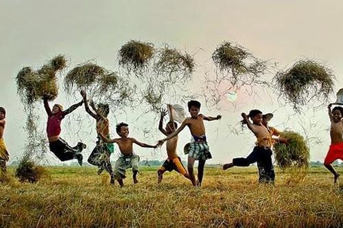 Mưa cua đồng