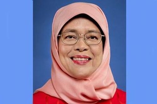Tổng thống Singapore bắt đầu thăm cấp nhà nước tới Việt Nam