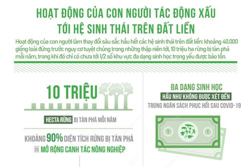 Hoạt động của con người tác động xấu tới hệ sinh thái trên đất liền