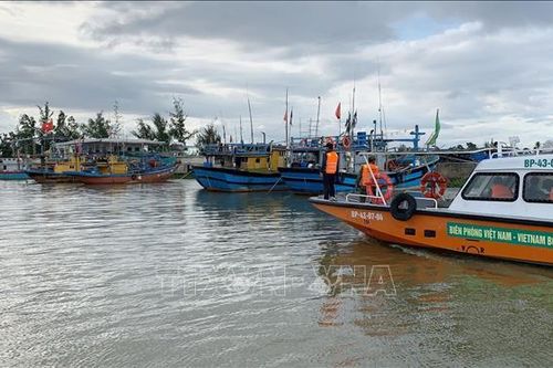 Quảng Nam triển khai nhiều biện pháp phòng, chống bão Nesat