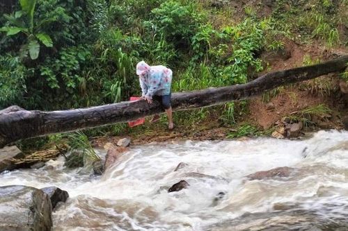 Xúc động hình ảnh cô giáo mầm non bám thân cây, vượt dòng suối lũ đến trường
