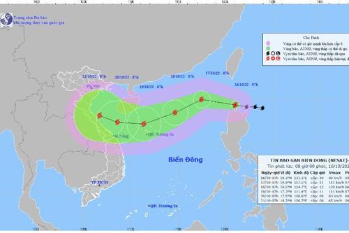 Chủ động ứng phó với diễn biến của bão NESAT