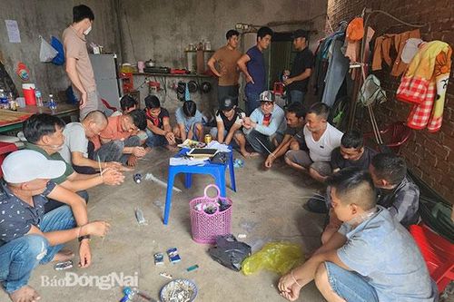 Bắt nhóm đối tượng chơi đá gà ăn tiền trên mạng