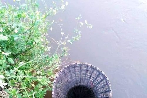 Đó lờ kể chuyện