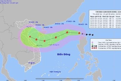 Công an các đơn vị, địa phương chủ động ứng phó với bão Nesat