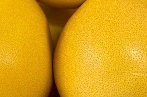 Bưởi Trung Quốc vỏ vàng óng, căng mọng đổ bộ chợ Việt với giá rẻ bất ngờ