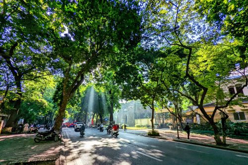 Ngắm Hà Nội đẹp như tranh vẽ trong nắng Thu
