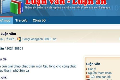 Chuyên gia giáo dục: Luận án 'tiến sĩ cầu lông' không xứng tầm để sửa