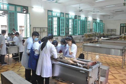 Giải phẫu người qua câu chuyện của một cựu sinh viên Đại học Y Hà Nội