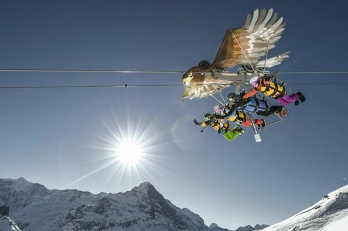 8 đường trượt zipline mạo hiểm nhất thế giới