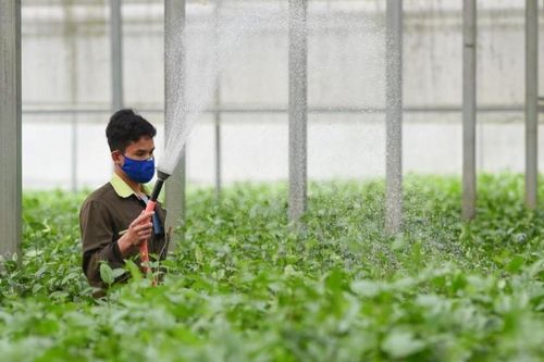 Ngày Lương thực thế giới: Xây dựng hệ thống lương thực bền vững