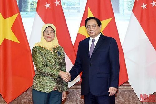 Nỗ lực xây dựng 'Quan hệ Đối tác kinh tế số - kinh tế xanh Việt Nam-Singapore'