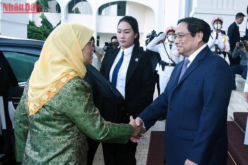 Thủ tướng Phạm Minh Chính tiếp Tổng thống Cộng hòa Singapore Halimah Yacob