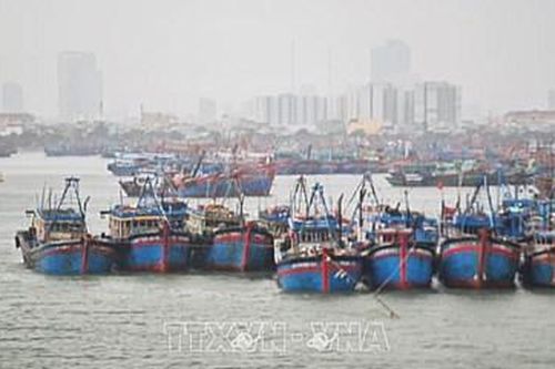 Thông báo, kiểm đếm 59.719 tàu với 270.561 lao động