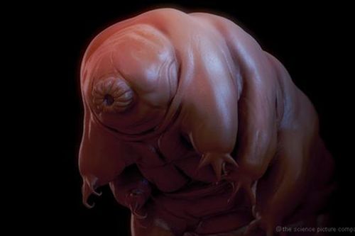 Phát hiện 'công chúa ngủ trong rừng' đóng băng 30 năm bất ngờ sống lại