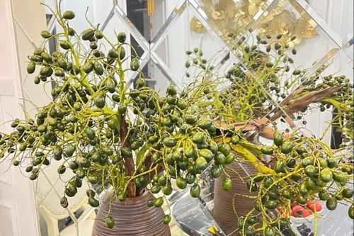 Mới lạ cành quả cắm bình đang 'làm mưa, làm gió' trên thị trường