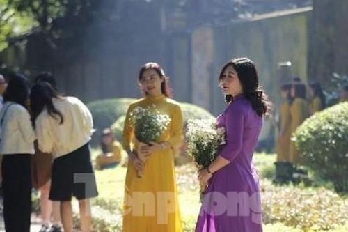 Mùa thu nắng vàng đẹp nao lòng, giới trẻ rộn ràng chụp ảnh trên con đường Hà Nội lãng mạn