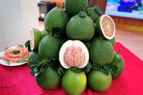 Trái bưởi Việt Nam chính thức được xuất khẩu vào Hoa Kỳ