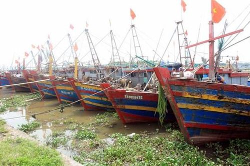 Tăng cường đảm bảo an toàn tàu thuyền ứng phó với bão số 6