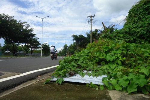 Vỉa hè cần thông thoáng