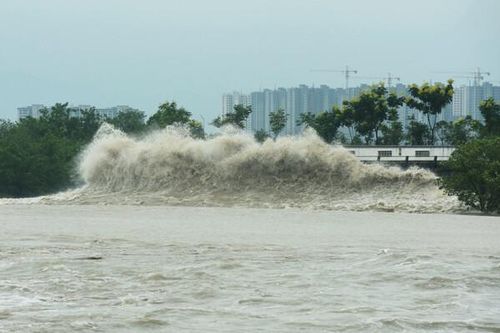Chủ động ứng phó với bão NESAT khi tăng cấp vào Biển Đông