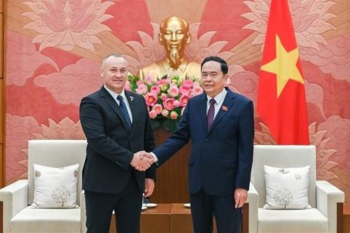 Phó Chủ tịch Thường trực Quốc hội Trần Thanh Mẫn tiếp Nhóm Nghị sĩ hữu nghị Romania - Việt Nam