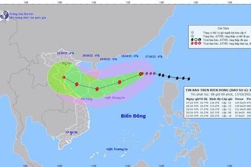 Xây dựng 2 kịch bản ứng phó với bão số 6