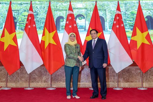 Xây dựng quan hệ đối tác kinh tế số, kinh tế xanh Việt Nam - Singapore